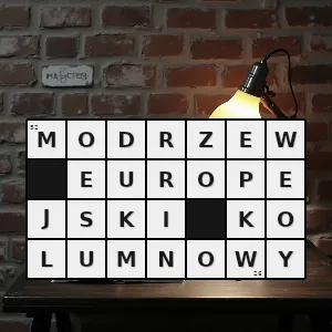 Hasło krzyżówkowe fasti - modrzew europejski kolumnowy – rozwiązanie, synonimy, podpowiedzi i definicje krzyżówkowe